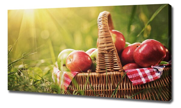 Foto obraz canvas Jablka v koši oc-70920367