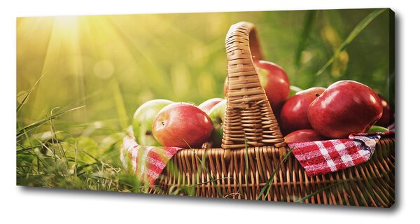 Foto obraz canvas Jablka v koši oc-70920367