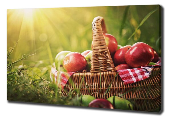 Foto obraz canvas Jablka v koši oc-70920367