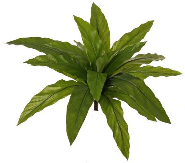 Umělá rostlina Asplenium 18 listů, 45cm