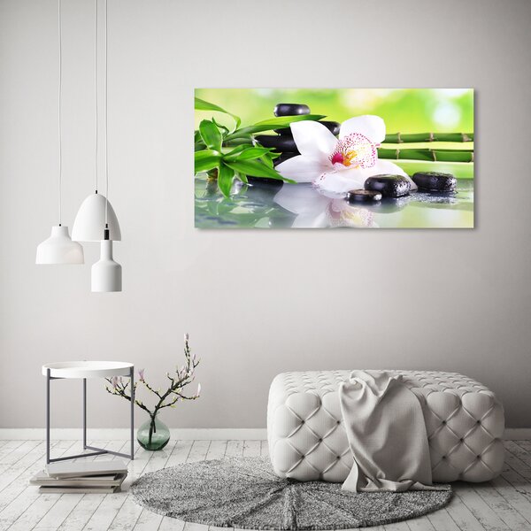 Foto obraz na plátně do obýváku Orchidej oc-71100540