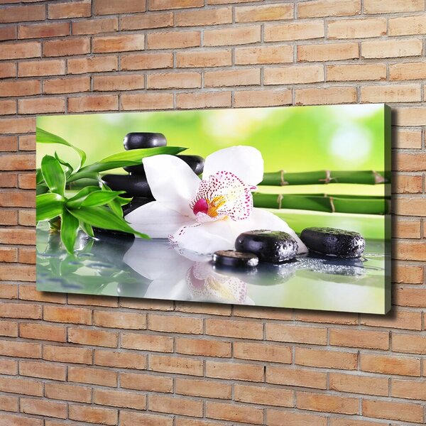 Foto obraz na plátně do obýváku Orchidej oc-71100540