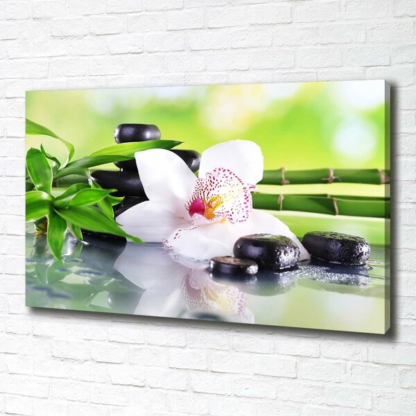 Foto obraz na plátně do obýváku Orchidej oc-71100540