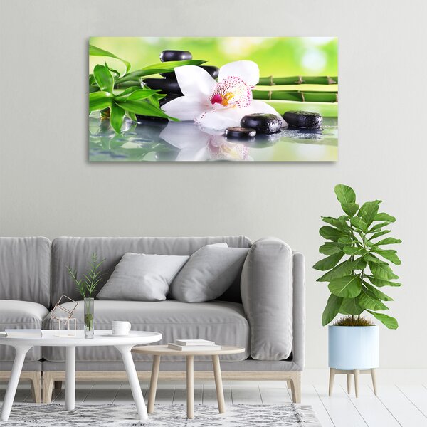 Foto obraz na plátně do obýváku Orchidej oc-71100540