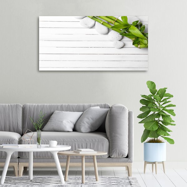 Moderní fotoobraz canvas na rámu Bambus oc-71294993
