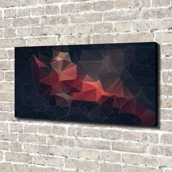 Moderní fotoobraz canvas na rámu Abstraktní pozadí oc-71350089