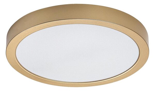 Rabalux 75079 - LED Koup. str. svítidlo SHAUN PLUS 30W/230V pr. 30 cm IP44 zlatá