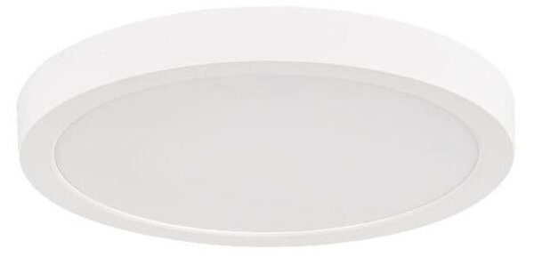 Rabalux 75073 - LED Koup. str. svítidlo SHAUN PLUS 30W/230V pr. 30 cm IP44 bílá