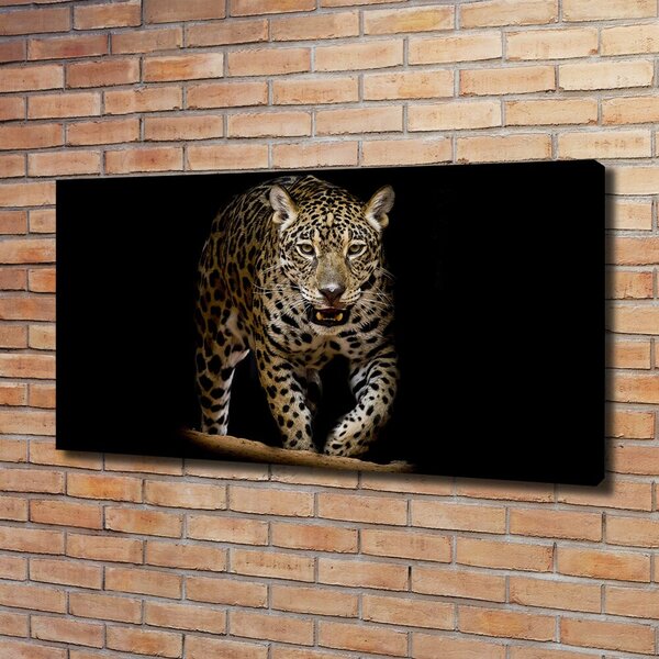 Foto obraz na plátně Jaguál oc-71556052