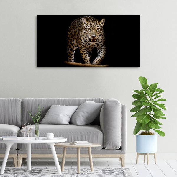 Foto obraz na plátně Jaguál oc-71556052