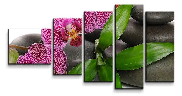 Sablio Obraz - 5-dílný Orchideje a kameny - 100x60 cm