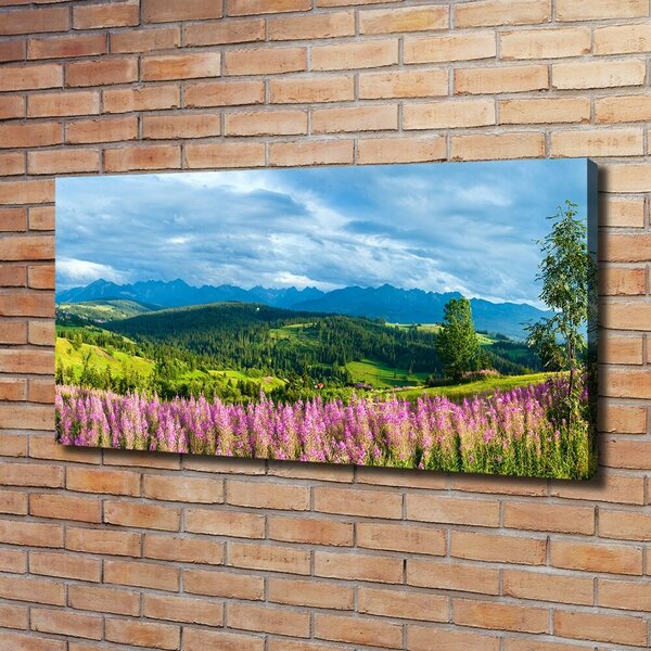 Foto obraz canvas Levandule v horách oc-71828150