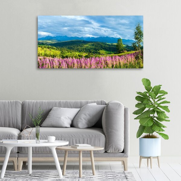 Foto obraz canvas Levandule v horách oc-71828150