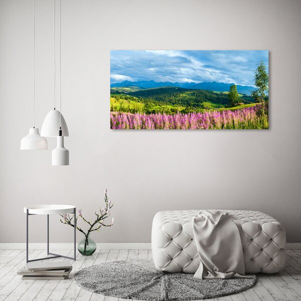 Foto obraz canvas Levandule v horách oc-71828150