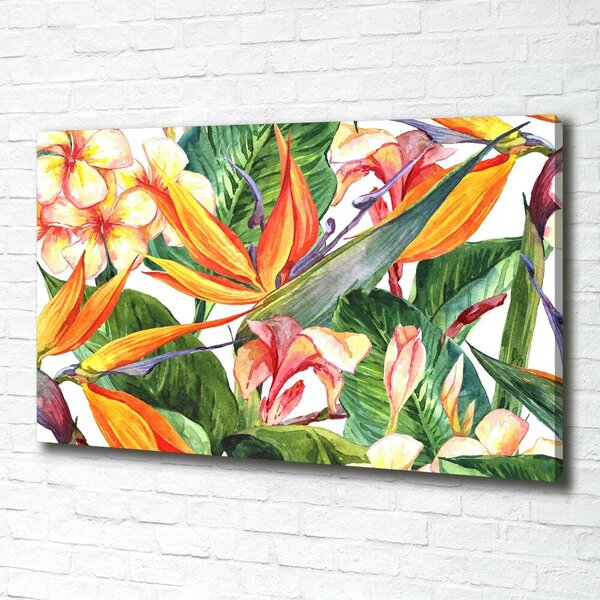 Moderní fotoobraz canvas na rámu Tropický ostrov oc-71850727