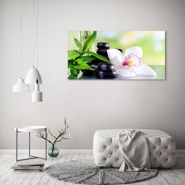 Foto obraz na plátně Orchidej oc-71878177