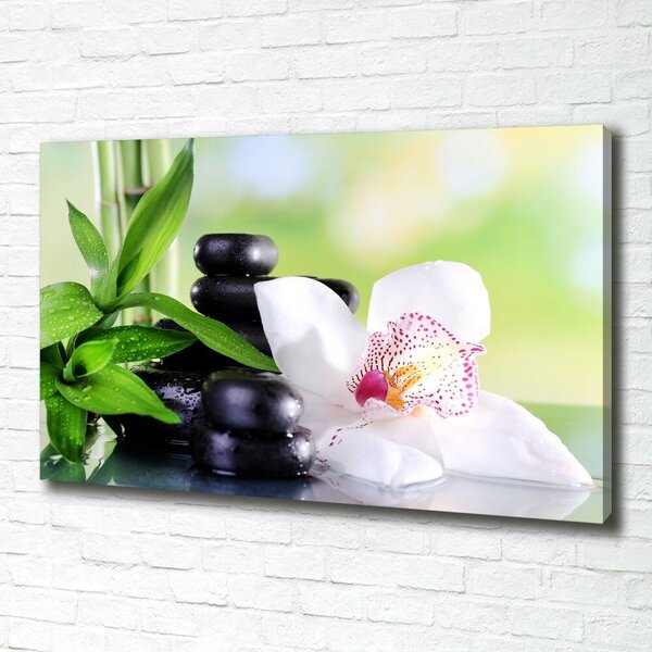 Foto obraz na plátně Orchidej oc-71878177