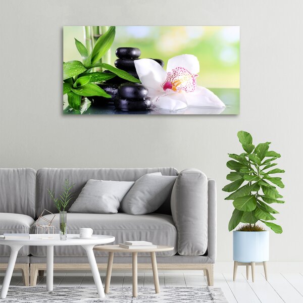 Foto obraz na plátně Orchidej oc-71878177