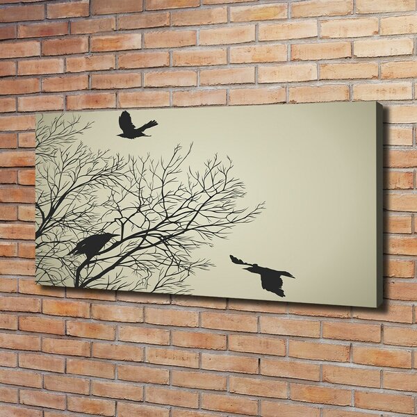 Moderní fotoobraz canvas na rámu Vrány na stromě oc-72229851