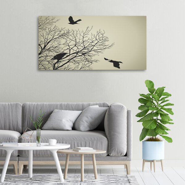 Moderní fotoobraz canvas na rámu Vrány na stromě oc-72229851