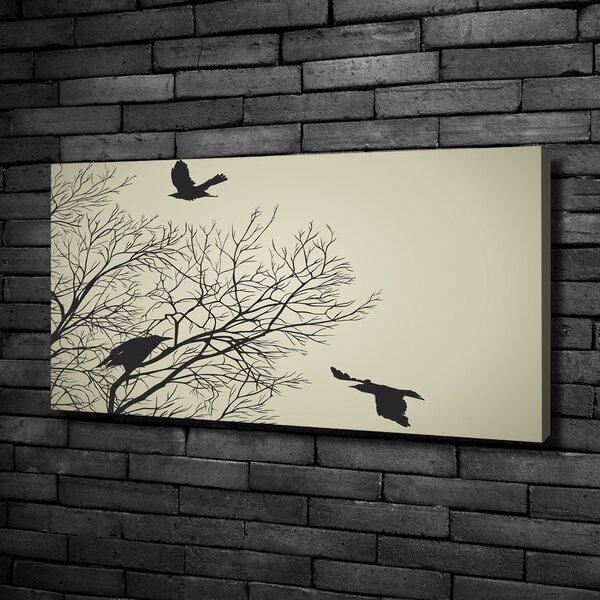 Moderní fotoobraz canvas na rámu Vrány na stromě oc-72229851