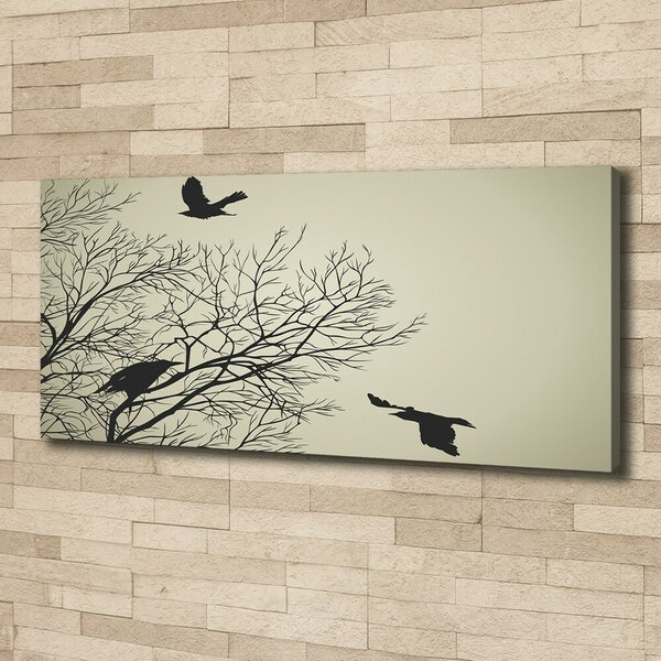 Moderní fotoobraz canvas na rámu Vrány na stromě oc-72229851