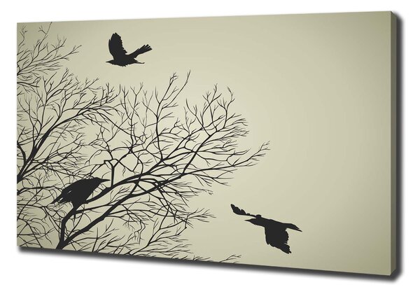 Moderní fotoobraz canvas na rámu Vrány na stromě oc-72229851