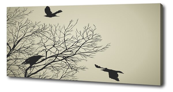 Moderní fotoobraz canvas na rámu Vrány na stromě oc-72229851