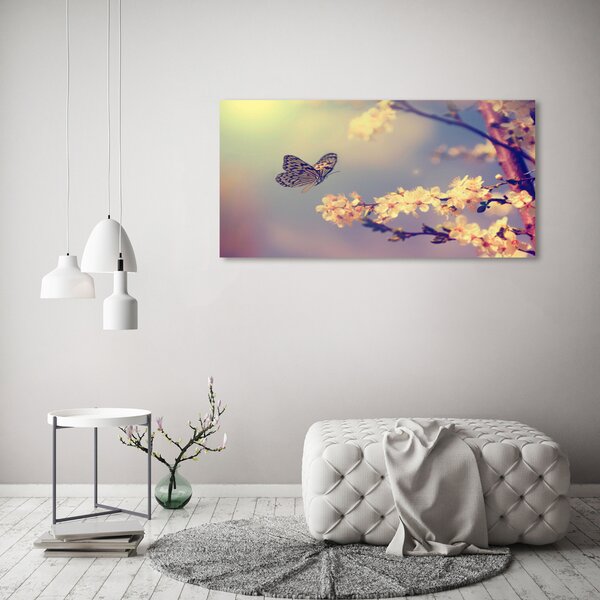 Moderní obraz canvas na rámu Květ viště a motýl oc-72331211