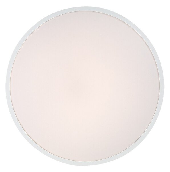 Rabalux 98071430 LED venkovní stropní svítidlo Alenzo | 36W integrovaný LED zdroj | 2450lm | 3000-6000K