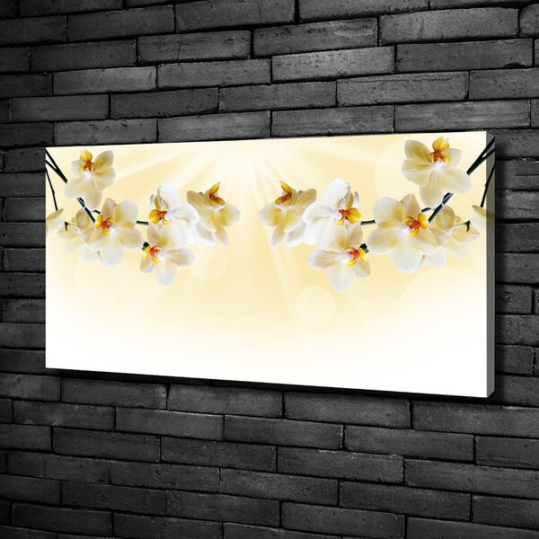 Foto obraz canvas Orchidej oc-72852358