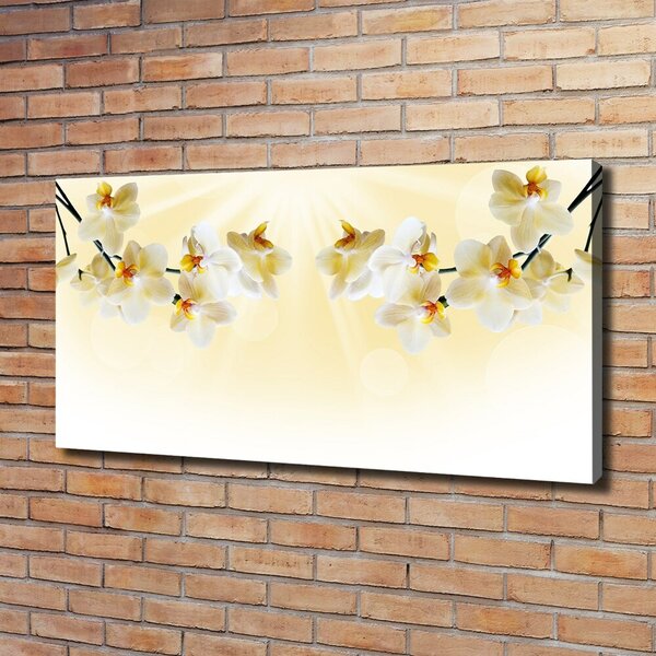 Foto obraz canvas Orchidej oc-72852358