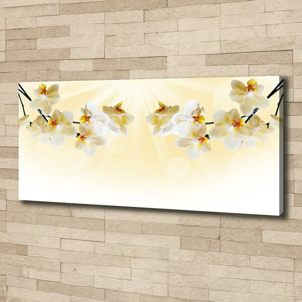 Foto obraz canvas Orchidej oc-72852358