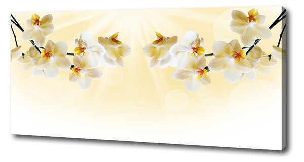 Foto obraz canvas Orchidej oc-72852358