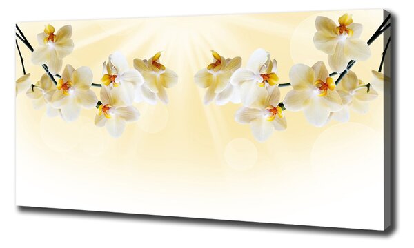 Foto obraz canvas Orchidej oc-72852358