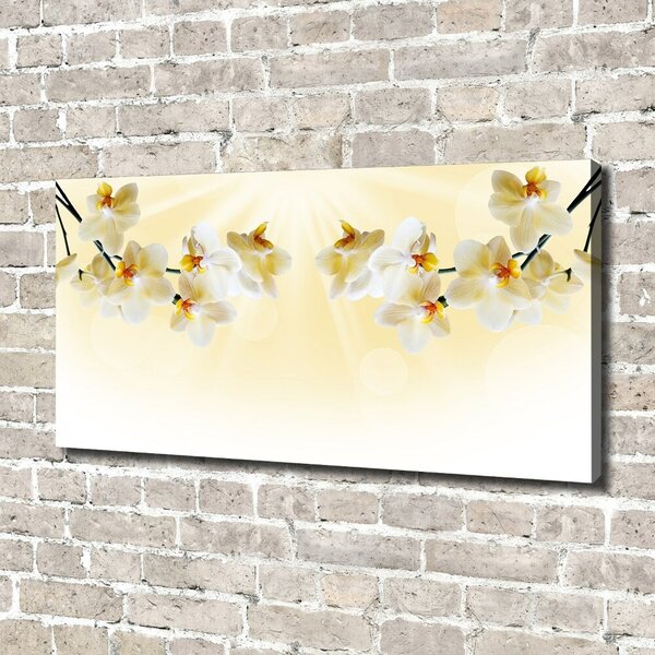 Foto obraz canvas Orchidej oc-72852358
