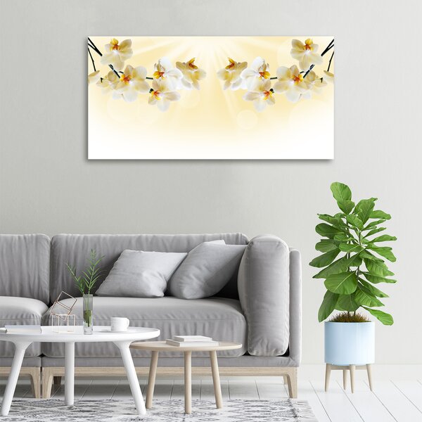 Foto obraz canvas Orchidej oc-72852358