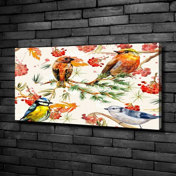 Moderní obraz canvas na rámu jehličňany a ptáci oc-73252518
