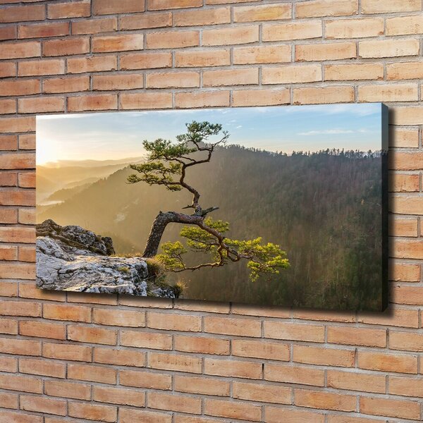Foto obraz na plátně Sokolice Pieniny oc-73236563
