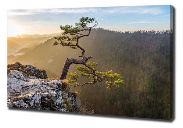 Foto obraz na plátně Sokolice Pieniny oc-73236563
