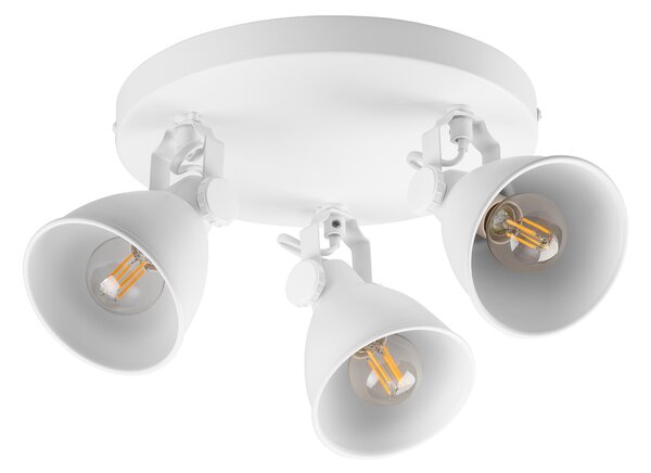 Livarno home Stropní LED svítidlo Teiwaz (stropní svítidlo bodové, bílá) (100383218002)