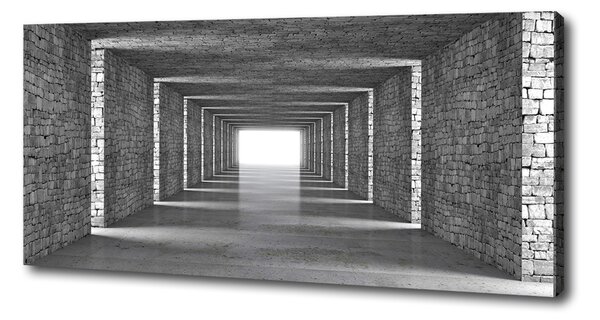 Foto obraz na plátně do obýváku Tunel z cihel oc-73368031