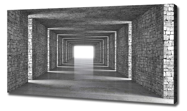 Foto obraz na plátně do obýváku Tunel z cihel oc-73368031