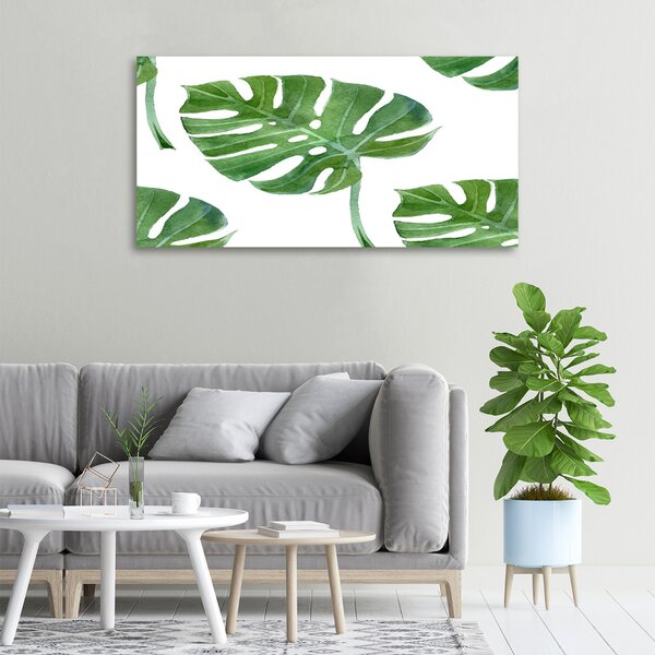 Foto obraz na plátně Monstera oc-73453998