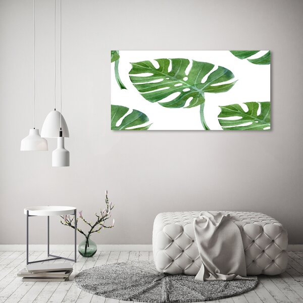 Foto obraz na plátně Monstera oc-73453998