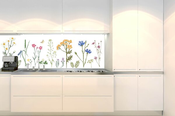 DIMEX | Fototapeta do kuchyně Kresba z herbáře KI-180-219 | 180 x 60 cm | vícebarevná, bílá