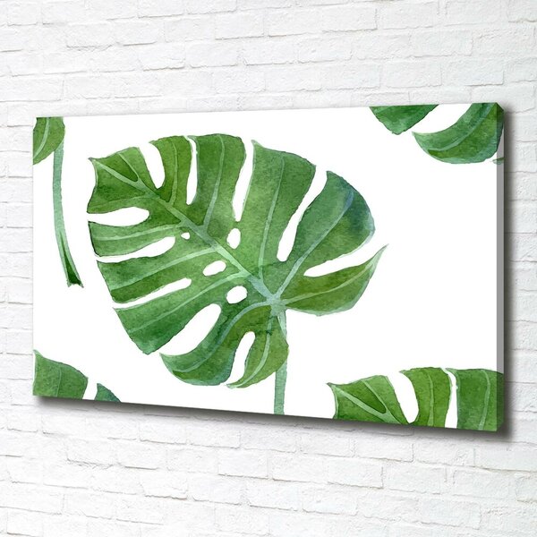 Foto obraz na plátně Monstera oc-73453998