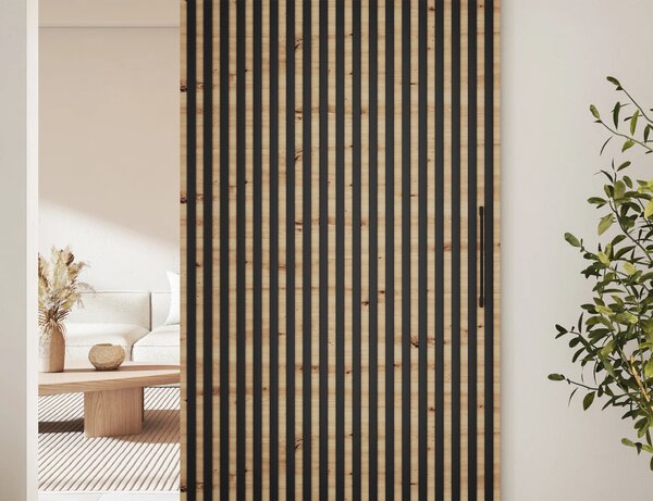 Designové poduvné dveře SEREN 1 - černé / hnědé