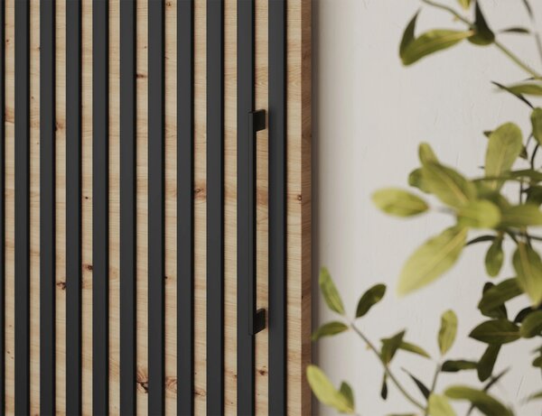 Designové poduvné dveře SEREN 1 - černé / hnědé