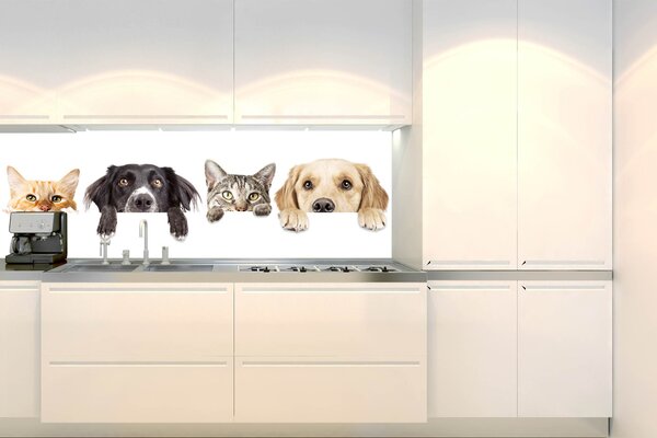 DIMEX | Fototapeta do kuchyně Kočky a psi KI-180-175 | 180 x 60 cm | bílá, šedá, černá, béžová